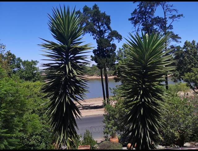 1 BEDROOM PROPERTY TO RENT IN SONSTRAAL